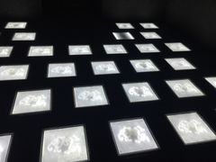 -MOJO密室逃脱(中街旗舰店)