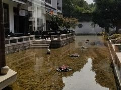 -苏州吴宫泛太平洋酒店