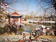 -纪晓岚文化园