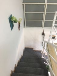 -Doris多里斯半永久纹眉·SMP纹发·发际线