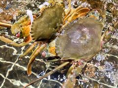 -海玥荟海鲜姿造自助餐厅(欧罗巴广场店)