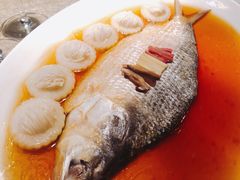 酒酿蒸鲥鱼-苏浙总会(国金中心店)