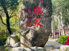 -蝴蝶泉公园