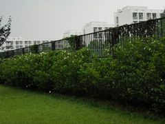 -南京医科大学(江宁校区)