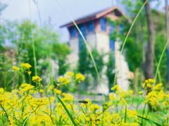 -长白山万达喜来登度假酒店