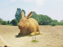 -嘉北郊野公园