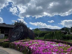 -云南民族村