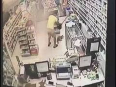 盛京一禾-盛京一禾