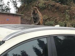 -重庆雨台山风景区