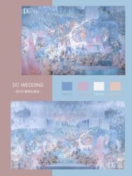 -DC大蔡婚礼策划(李公堤店)