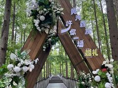 -黄海国家森林公园