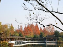 -古韵餐厅(湖畔大学店)