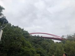 -金鸡山公园