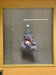 -杭州贝瑞斯美华妇儿医院·早孕·产检·儿科