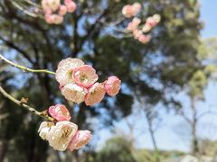 -无锡梅园公园