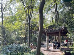 -杭州黄龙洞