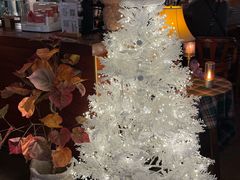 -咖法森林·咖啡  酒吧(天河店)