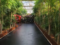 -东方华地城湿地温泉度假区
