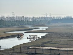 -溱湖国家湿地公园