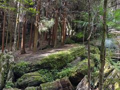 -梭布垭石林景区