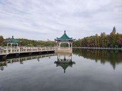 -湖滨客舍·湖北菜