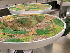 -上海外滩茂悦大酒店