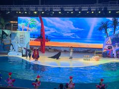 -三亚海昌梦幻海洋不夜城