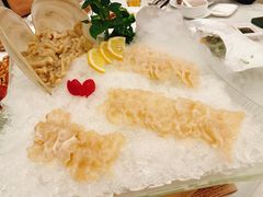 象拨蚌刺身-金翠皇宫粤菜·点心·海鲜(科技园店)