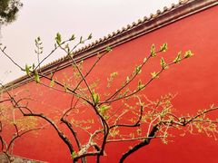 -北京市劳动人民文化宫(太庙)