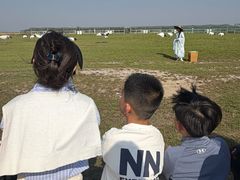 -盐城丹顶鹤湿地生态旅游区