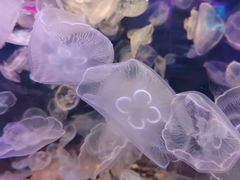 -多彩贵州城极地海洋世界