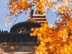 -北京石刻艺术博物馆(五塔寺)