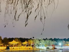 -长春市南湖公园