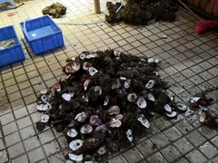 -濠轩阁特色生蚝火锅(水湾路店)