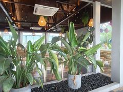 -碧海金沙