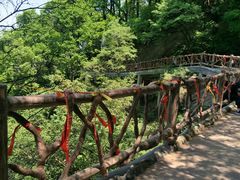 -少华山国家森林公园