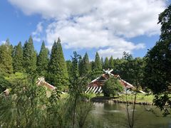 -东平国家森林公园