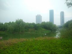 -尚贤河湿地