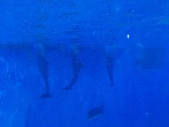 -福州罗源湾海洋世界旅游区