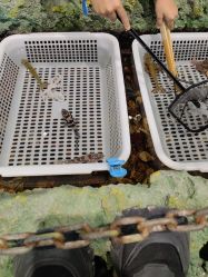 -钓虾工场·钓虾·赶海(回龙观店)