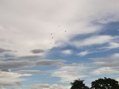 -汉长安城未央宫国家考古遗址公园