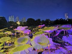 -艾溪湖湿地公园