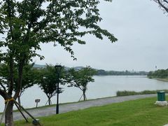 -羊山湖公园
