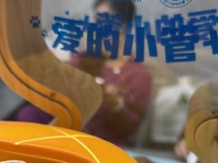 -半岛宠物医院24小时(白果林店)