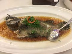 石斑鱼-宝燕海鲜(好爱店)