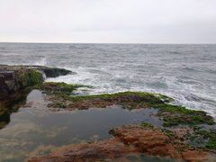 -盐洲岛