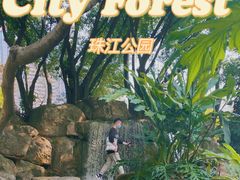 景点-广州珠江公园