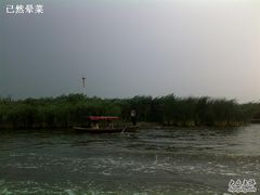 -白洋淀景区