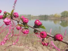 -东郊湿地公园