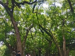 -溪口-滕头旅游景区